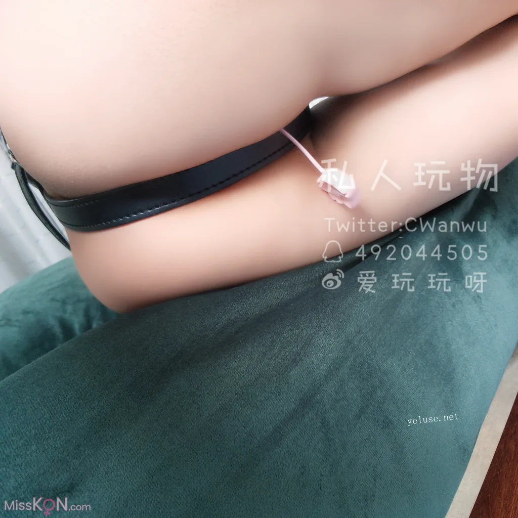 Coser@私人玩物: 情趣诱惑SM调教捆绑 (40 photos + 1 video)