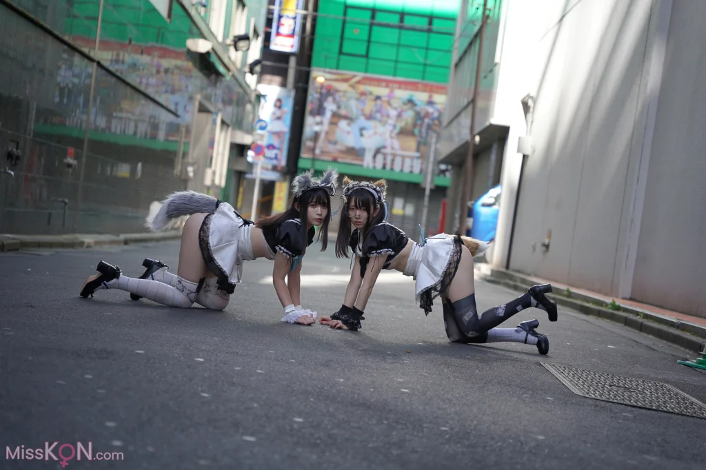 [JP] Sui Utatane (うたたね翠) & Shione Mizuna (水那しおね): 野生のメイドがあらわれた！ (163 photos)