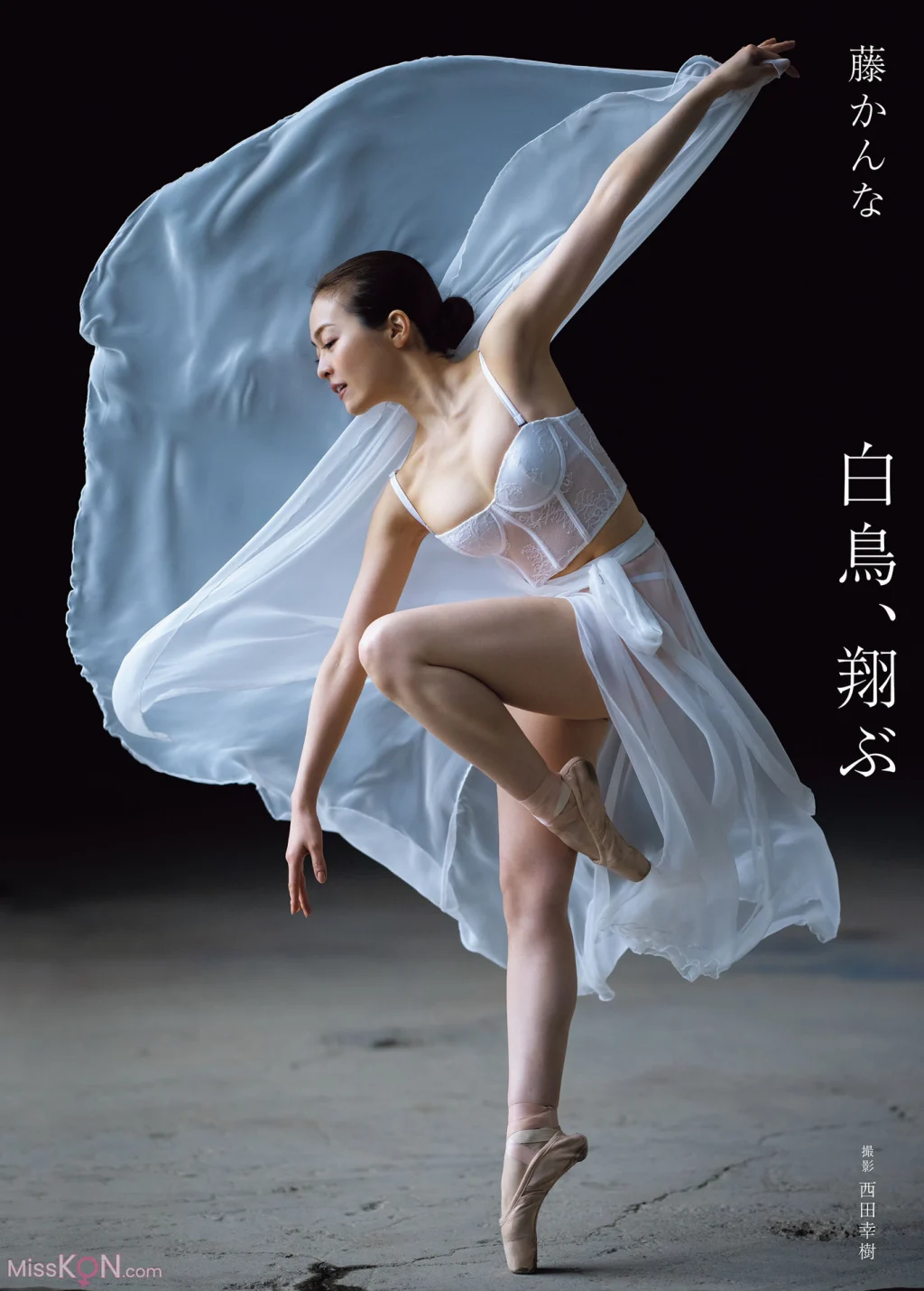 [JP] Kanna Fuji (藤かんな): アサ芸SEXY女優写真集 写真集 白鳥、翔ぶ (92 photos)